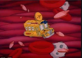 Cells founded in everything