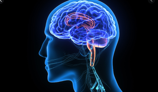 Neurology Breakthrough