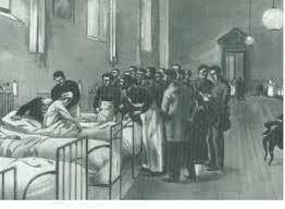 Consejo superior de salud