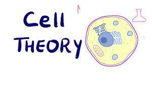 Cell Theory introduced