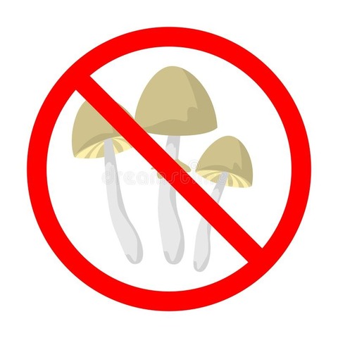 Prohibición de los hongos.