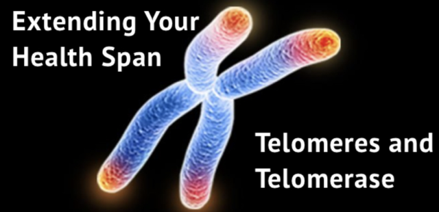 2.2 - Genetic Limits
