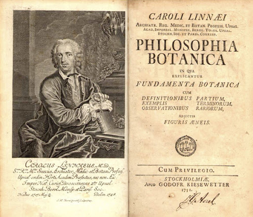 Classificare flora e fauna - Linneo