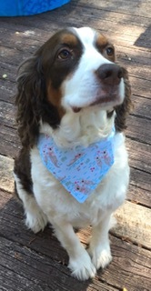 Phillip entered Ms. Ashby's class