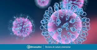 Pandemia de gripe A - H1N1