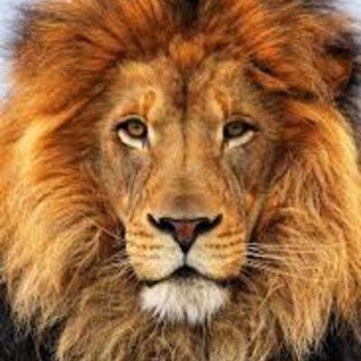 Timeline: Sistemas de impresión