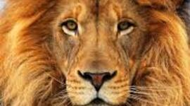 Timeline: Sistemas de impresión