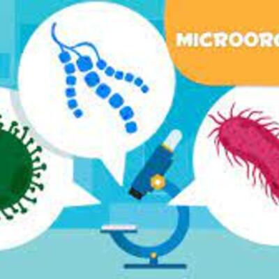 Timeline: cazadores de microbios