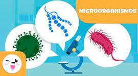 Timeline: cazadores de microbios