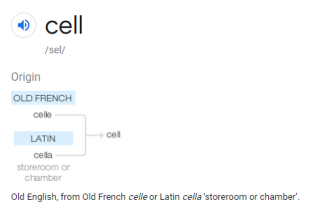 The word "cell" is created from the Latin "cella"