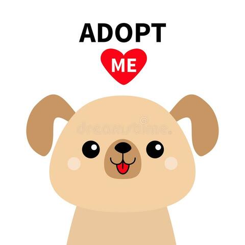 Adopt a pet dog