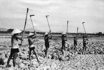 Anulación de la reforma agraria