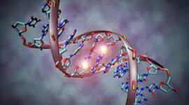 Timeline: Biología Molecular