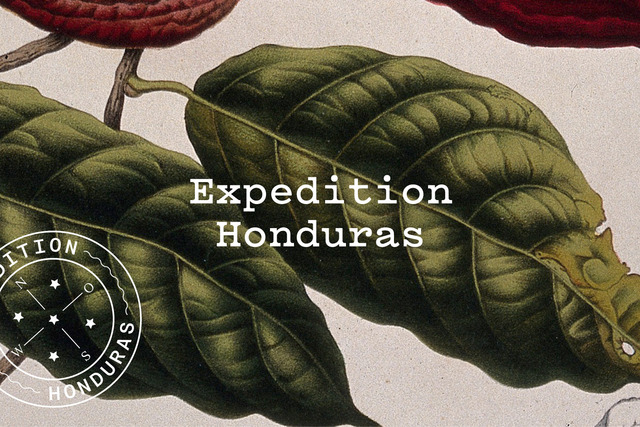 Honduras as a Banana Republic