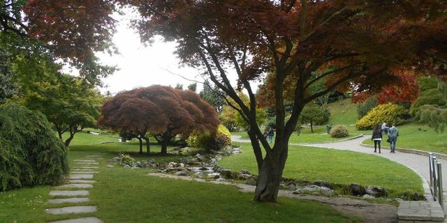 In bici al Valentino