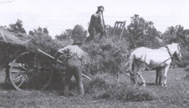 Properous Agriculture