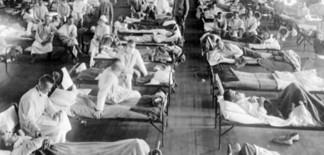 The Spanish Flu