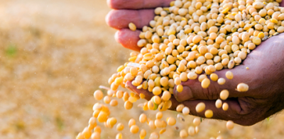 Controlar el precio de granos