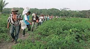 Proposición de las FARC-EP