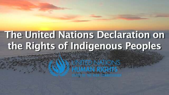 United Nations Declaration on the Rights of Indigenous People (+2)