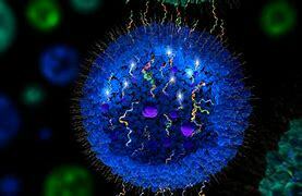 Cells are living organisms