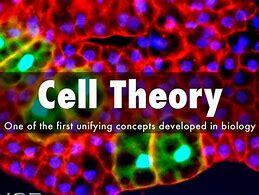 Cell Theory was formed