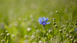 Timeline: Evolución de las TIC en mi familia.