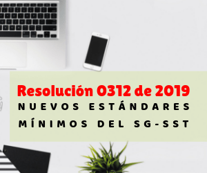 Resolución 0312 de 2019