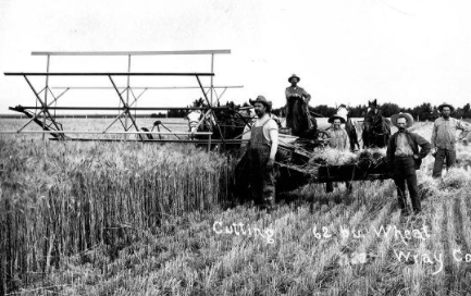 Egg Laying Competitions and Machines