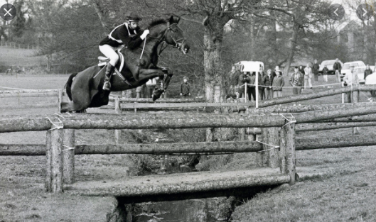 Badminton Horse Show