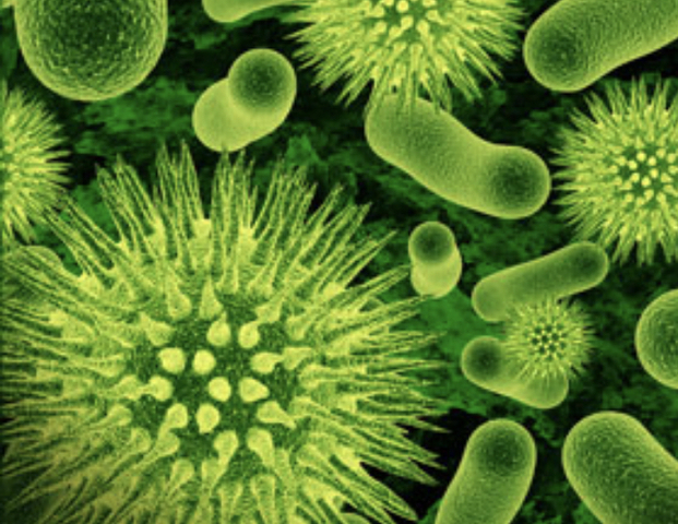 Microorganisms are living organisms