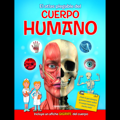 Timeline: NIVELES DE ORGANIZACION DEL CUERPO HUMANO