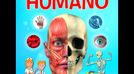 Timeline: NIVELES DE ORGANIZACION DEL CUERPO HUMANO