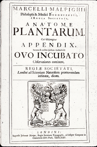 Marcello Malpighi y el término "utrícula"