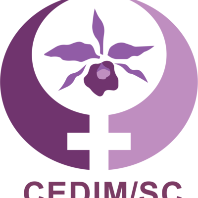 Timeline: Conselho dos Direitos das Mulheres