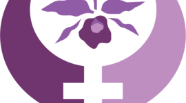 Timeline: Conselho dos Direitos das Mulheres