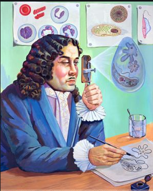 Anton Van Leeuwenhoek