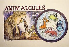 royal society letter