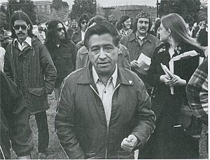 Chicano Movement ( Chicano )