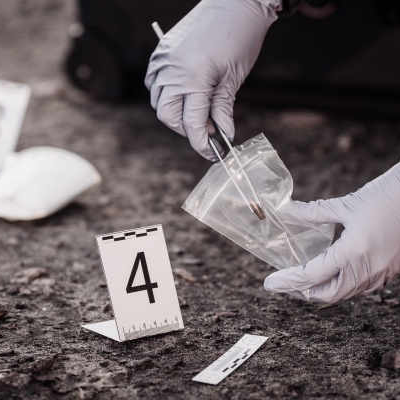 Timeline: Criminalística