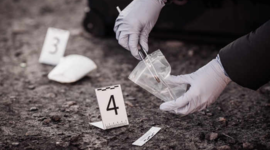 Timeline: Criminalística