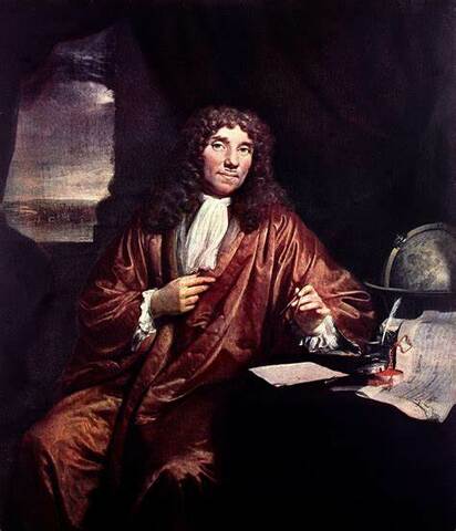 Investigations By Antoni Van Leeuwenhoek