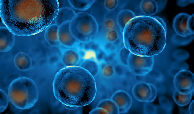 The Cell Theory Was Formulated
