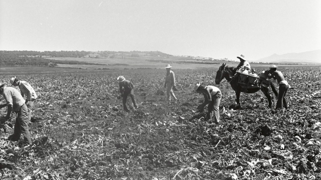 Reforma agrària
