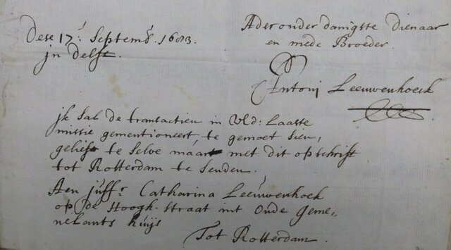 Leeuwenhoek's Conclusion on Particles