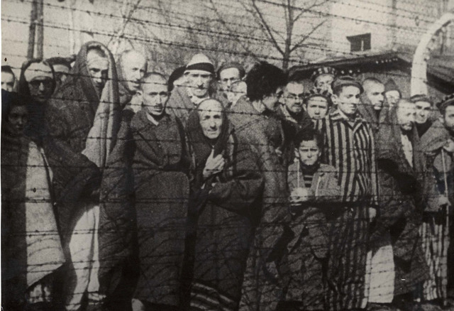 La solució final (Holocaust)