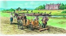 Timeline: The Acricultural Revolution