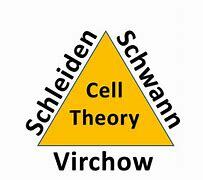 The Cell Theory