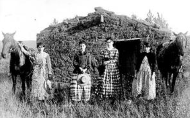 "Girl Homesteaders"