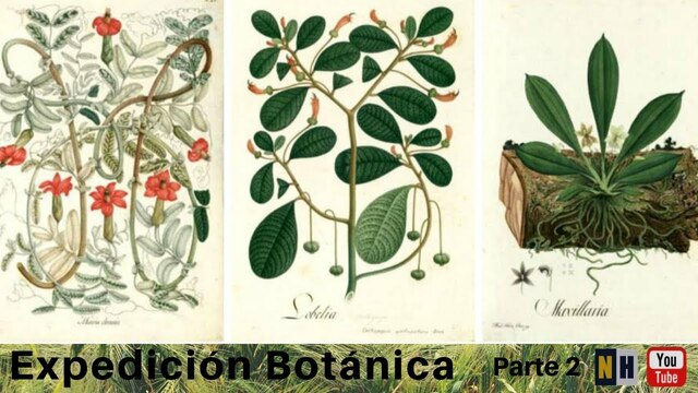 Expedición Botánica
